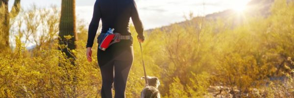 Queen Creek HOA Management Services - City Property Management in Arizona