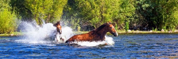 Laveen HOA Management Services - City Property Management in Arizona