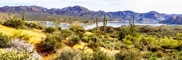 Peoria HOA Management Services - City Property Management