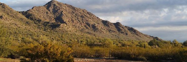 San Tan Valley HOA Management Services - City Property Management