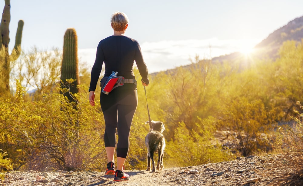 Queen Creek HOA Management Services - City Property Management in Arizona