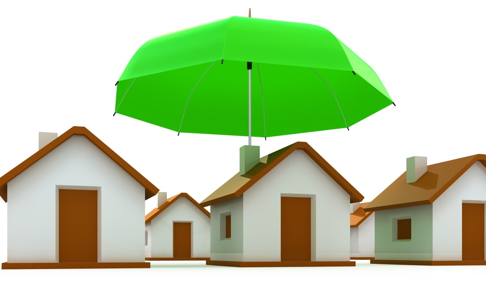 Umbrella - City Property